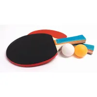 Tafeltennis set met 2 balen in draagtasje